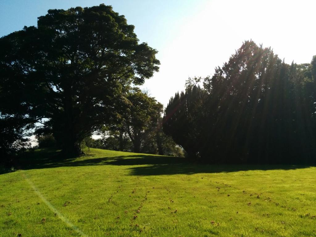 Narrow Water Castle Self Catering Accommodation Warrenpoint Ngoại thất bức ảnh